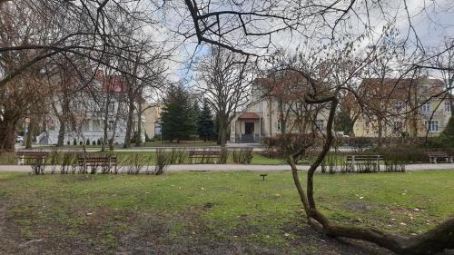 a park with benches and trees and a building at Willa AS in Inowrocław