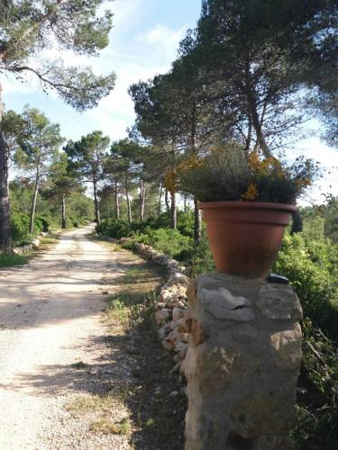 Taman di luar Casa de Campo en un Paraje Natural