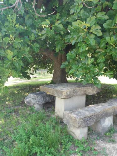 Taman di luar Casa de Campo en un Paraje Natural
