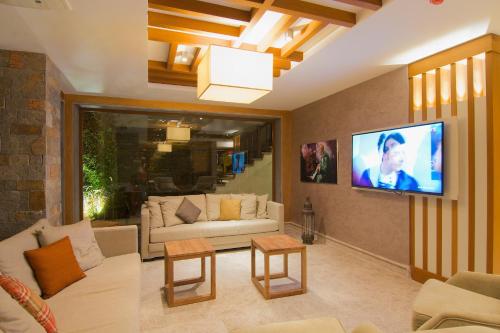 a living room with a couch and a tv at Marisol Boutique Hotel in Gundogan