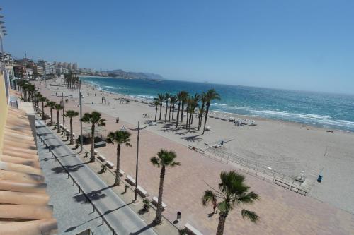 vistas a una playa con palmeras y al océano en AR1B, Acogedor estudio a pie de playa, en Villajoyosa