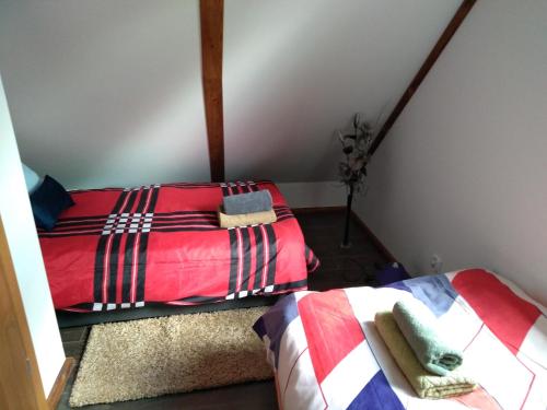 a bedroom with two beds in a attic at Dolina Rosy in Ustrzyki Dolne