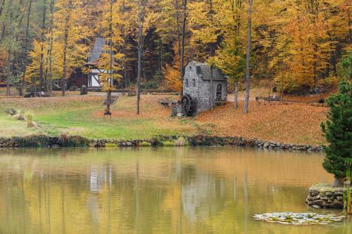 a stone structure next to a lake in the woods at Voevodyno Resort in Tur'ya Pasika