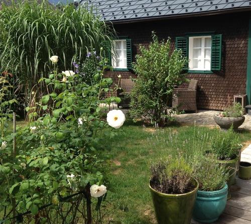 ogród z kwiatami i roślinami przed domem w obiekcie Burgi Kefer w mieście Bad Ischl