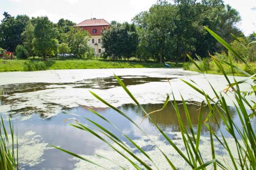 a pond with grass in front of a building at Pałac Kietlin in Niemcza