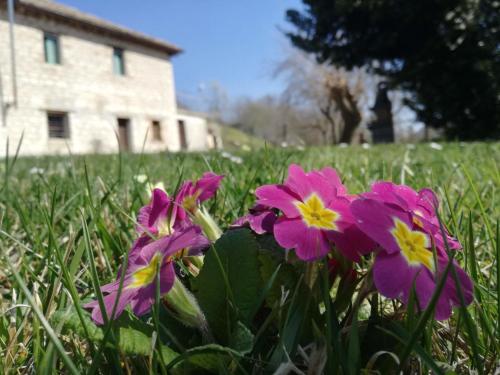 Casa Sponge B&B – Photos 5