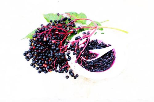 a bunch of blackberries in a white bowl at Princess Lanassa in Kostitsi