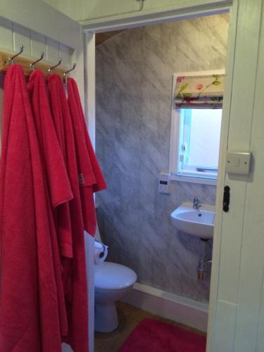 Koupelna v ubytování The Hideaway at Duffryn Mawr Self Catering Cottages