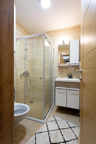 a bathroom with a shower and a toilet and a sink at Apartmani Pezerović in Soko Banja