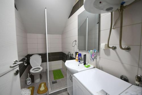 La salle de bains est pourvue d'un lavabo, de toilettes et d'un miroir. dans l'établissement Cozy and Lovely Appartment, à Jagodina