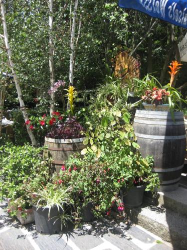 a group of potted plants and flowers in barrels at Hotel Rural Los Frutales in Cercedilla