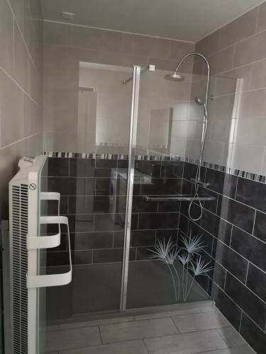 une douche avec une porte vitrée dans une salle de bain dans l'établissement Gîte à la ferme du Bailly - Baie de Somme, à Saint-Quentin-Lamotte-Croix-au-Bailly