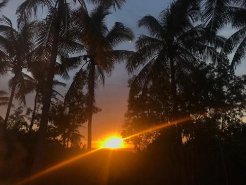a sunset with palm trees and the setting sun at Meket Bungalows in Nusa Penida