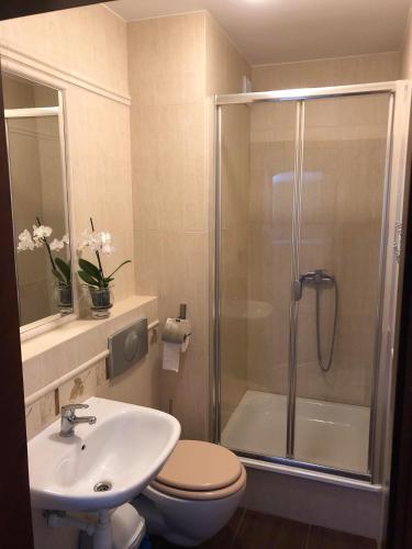 a bathroom with a shower and a toilet and a sink at Pokoje gościnne Bursztynowa in Białogóra