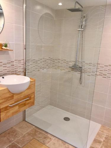 a bathroom with a shower and a sink at Gite aux Lauriers d'Adhémar in La Garde-Adhémar