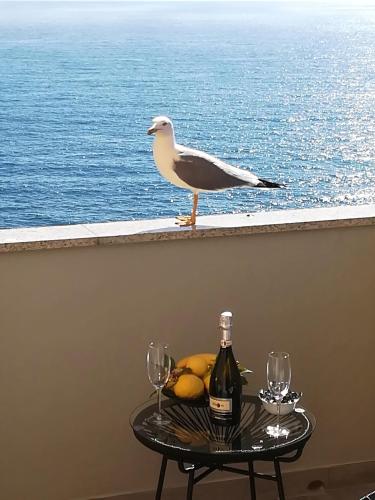 a seagull standing on a table with a bottle and glasses at Alex Room in Manarola
