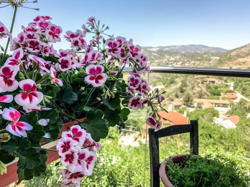 a potted plant with pink flowers on a balcony at Vasiliou House Krimenos in Khandria