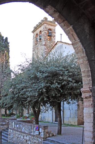 a tree in front of a building with a tower at La Fonte degli Angeli Apartments in Suvereto