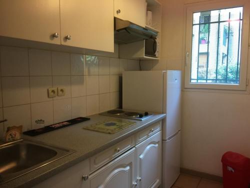 une cuisine avec un évier et un réfrigérateur dans l'établissement Les iris, à Carcassonne