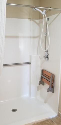 a bathroom with a shower with a bench in it at Cobblestone Inn & Suites - Lake View in Lake View
