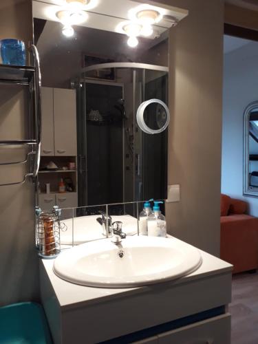 une salle de bain avec un lavabo et un miroir dans l'établissement Vacances Paisibles Sur La Côte Fleurie., à Trouville-sur-Mer