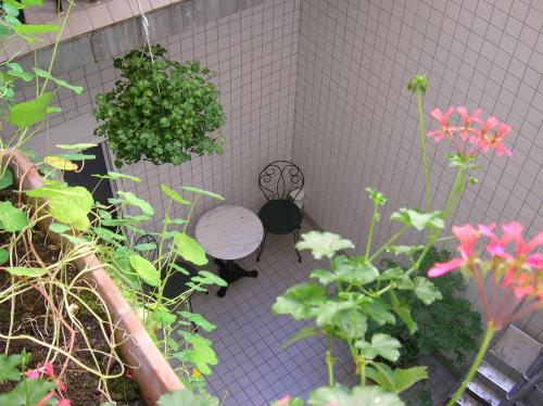 a patio with a table and a bunch of plants at Hotel Darcet in Paris