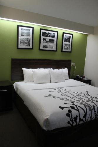 Ένα ή περισσότερα κρεβάτια σε δωμάτιο στο Sleep Inn Bryson City - Cherokee Area