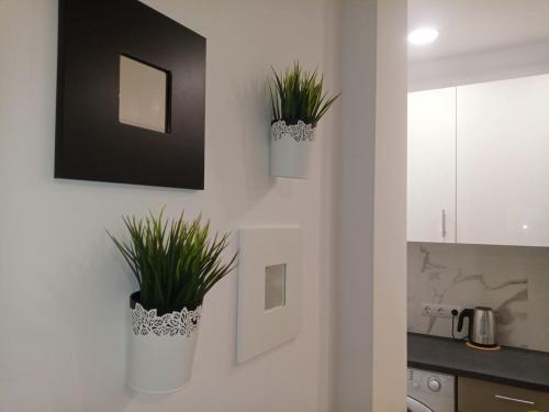Cozy studio near Victoria metro station