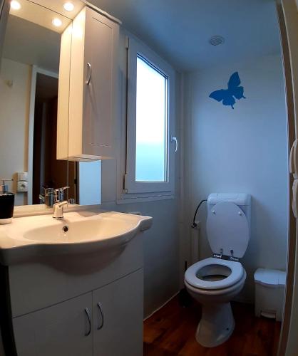 a bathroom with a sink and a toilet and a window at Mobile home Lučan in Drage