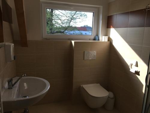 a bathroom with a sink and a toilet and a window at Rychlebská bašta in Černá Voda