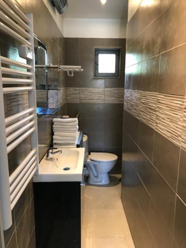 une salle de bain avec un lavabo et des toilettes dans l'établissement Charmant T2 au calme proche centre, à Arles