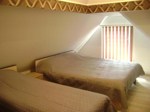 シビウにあるApartment Atticのベッドルーム1室(ベッド2台、窓付)