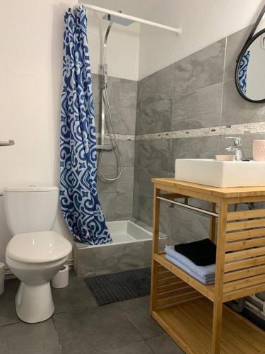 une salle de bain avec une douche, des toilettes et un lavabo dans l'établissement Studio cosy centre ville équipé, calme, à Saint-Étienne