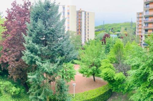 une vue sur un parc avec des arbres et des bâtiments dans l'établissement Studio cosy centre ville équipé, calme, à Saint-Étienne