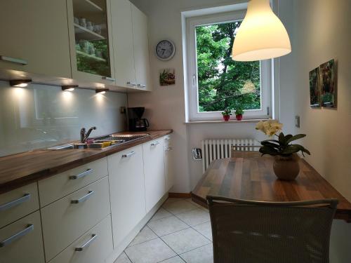 Kuchyňa alebo kuchynka v ubytovaní Appartment Trojer