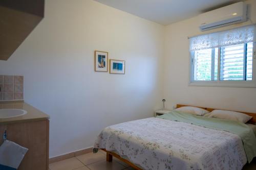 a bedroom with a bed and a sink and a window at Gil's Guest Rooms in Neve Zohar