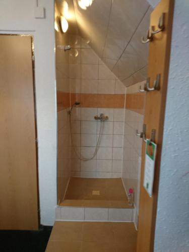a bathroom with a shower with a glass door at Penzion Forest in Rozvadov