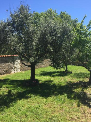 Κήπος έξω από το favoloso appartamento in villa