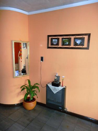 a room with a tv and a mirror and a plant at Hostal Namaste in Salta