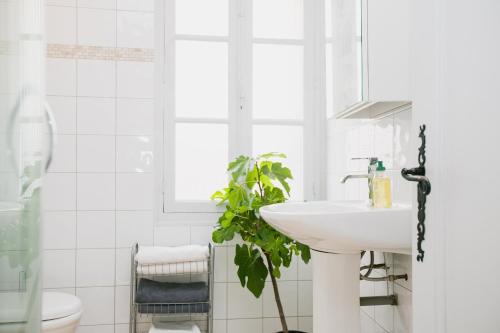 baño blanco con lavabo y planta en Regina's Banyuls - Spatious apartment next to the beach, en Banyuls-sur-Mer