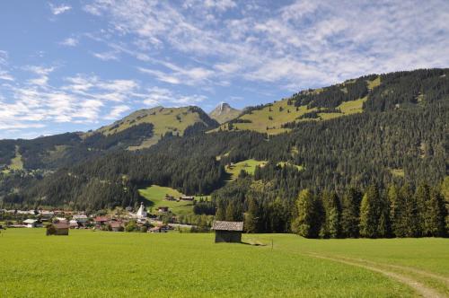 a green field with a mountain in the background at Haus Freispitzblick in Bach