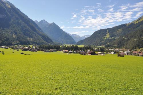 a large green field with mountains in the background at Haus Freispitzblick in Bach