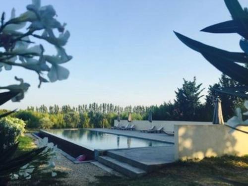 - une grande piscine dans une cour arborée dans l'établissement Le Provençal Duplex piscine jardin le Luberon, à Puyvert