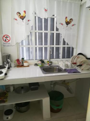 a kitchen with a sink and a window with chickens on the curtains at El Hostal By Pochet in San Andrés