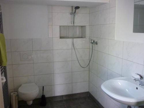 een badkamer met een douche, een toilet en een wastafel bij Gemütliches Schlaffass am Schwimmteich mit Heizung in Burg