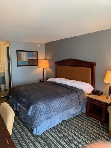Habitación de hotel con cama, mesa y lámpara en Safari Inn - Murfreesboro, en Murfreesboro
