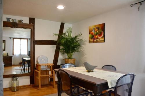 une salle à manger avec une table, des chaises et une plante dans l'établissement Appartement de caractère au calme 15 mins quartier historique, Gîte du Merlenchanteur, à Schiltigheim