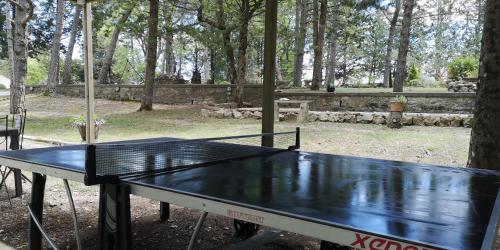 a ping pong table in front of a tree at Villa Sant’Uberto Country Inn in Radda in Chianti