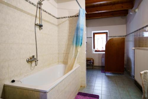 a bathroom with a bath tub and a shower at Chalupa Karol in Malé Chlievany