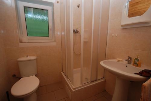 ロキトニツェ・ナト・イゼロウにあるNa Černém potoceのバスルーム(シャワー、トイレ、シンク付)
